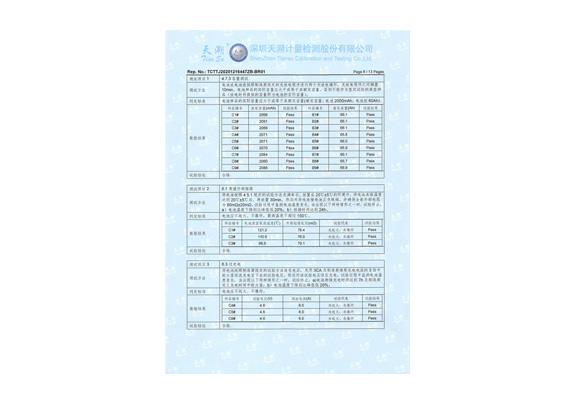 锂电池检测报告(图8)