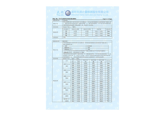 锂电池检测报告(图9)