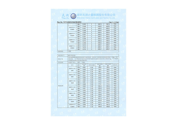 锂电池检测报告(图11)