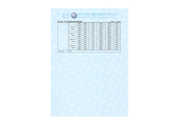 锂电池检测报告(图12)