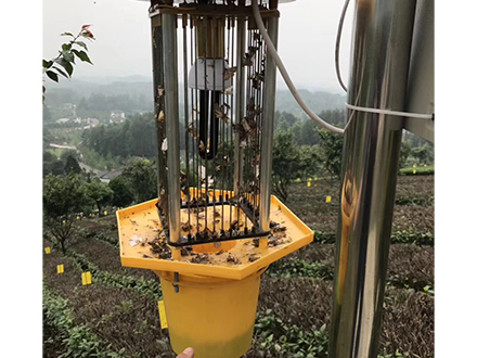 工程案例四(图2)
